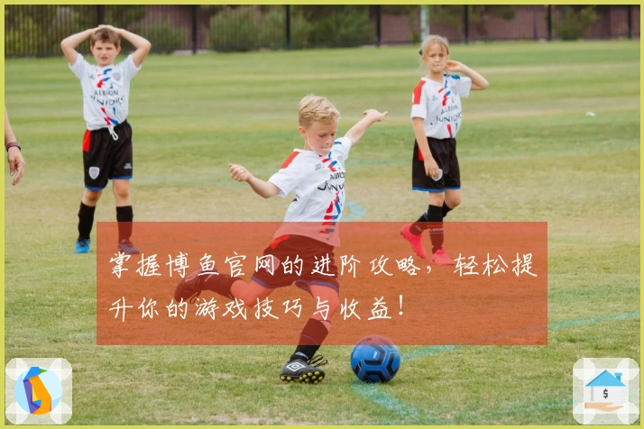 掌握博鱼官网的进阶攻略，轻松提升你的游戏技巧与收益！