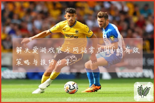 解决爱游戏官方网站常见BUG的有效策略与技巧分享