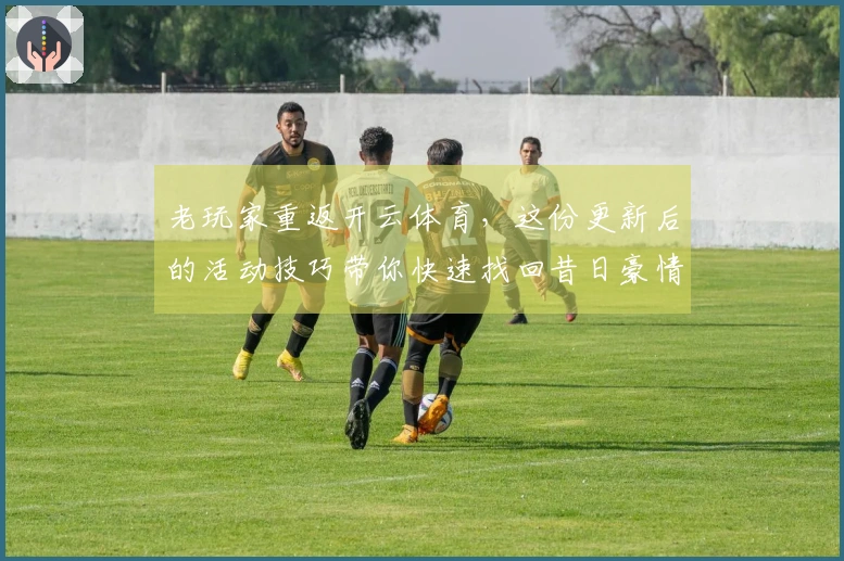 老玩家重返开云体育，这份更新后的活动技巧带你快速找回昔日豪情
